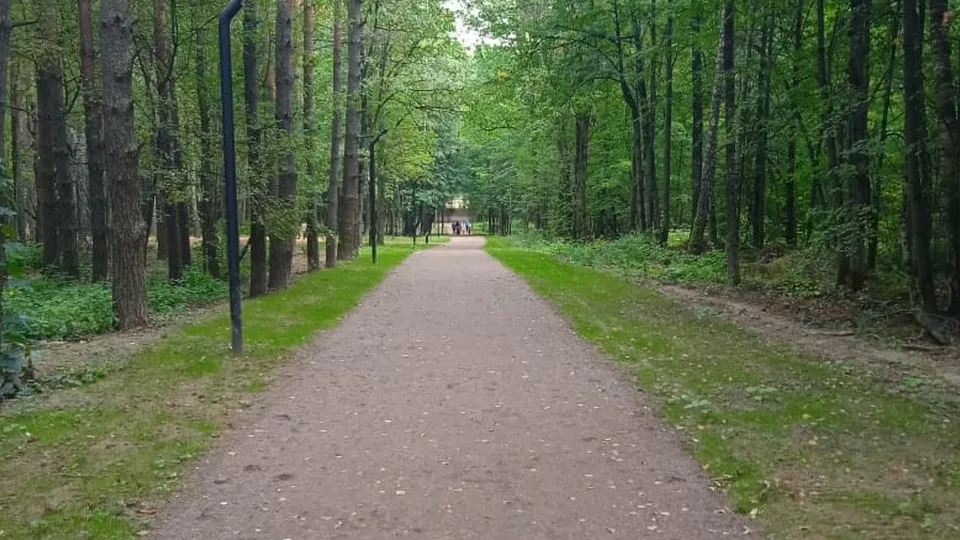 Фото: Максим Сорокин