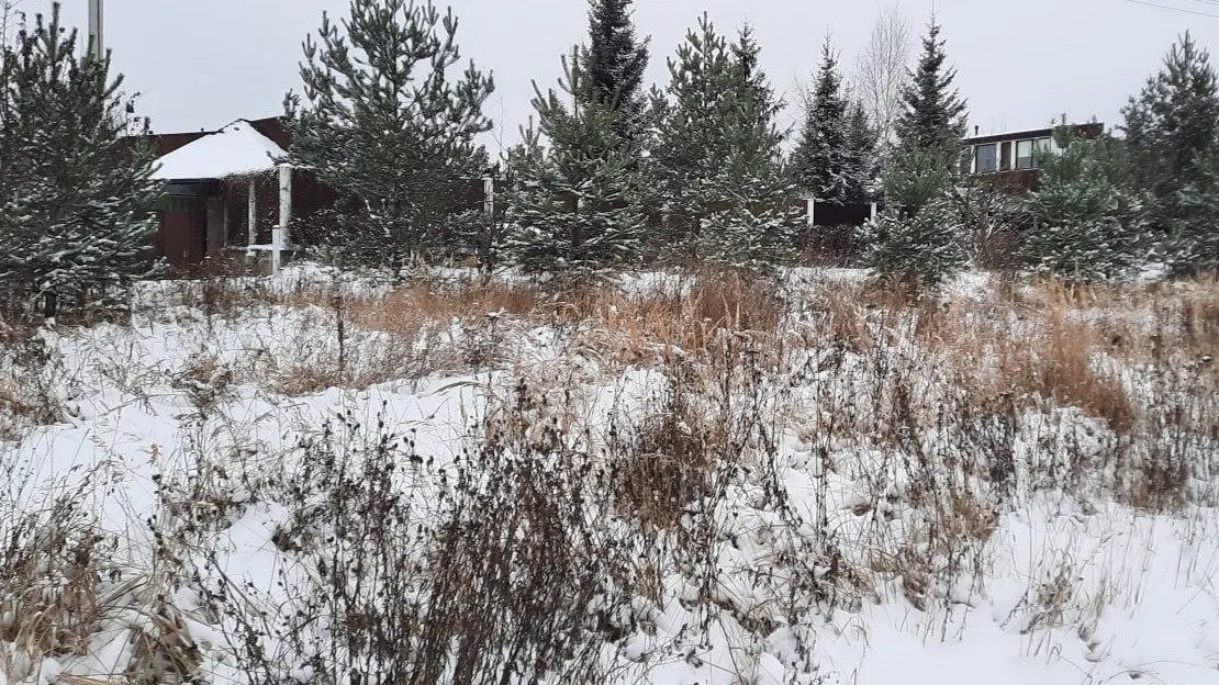 Источник фото: Министерство имущественных отношений Московской области