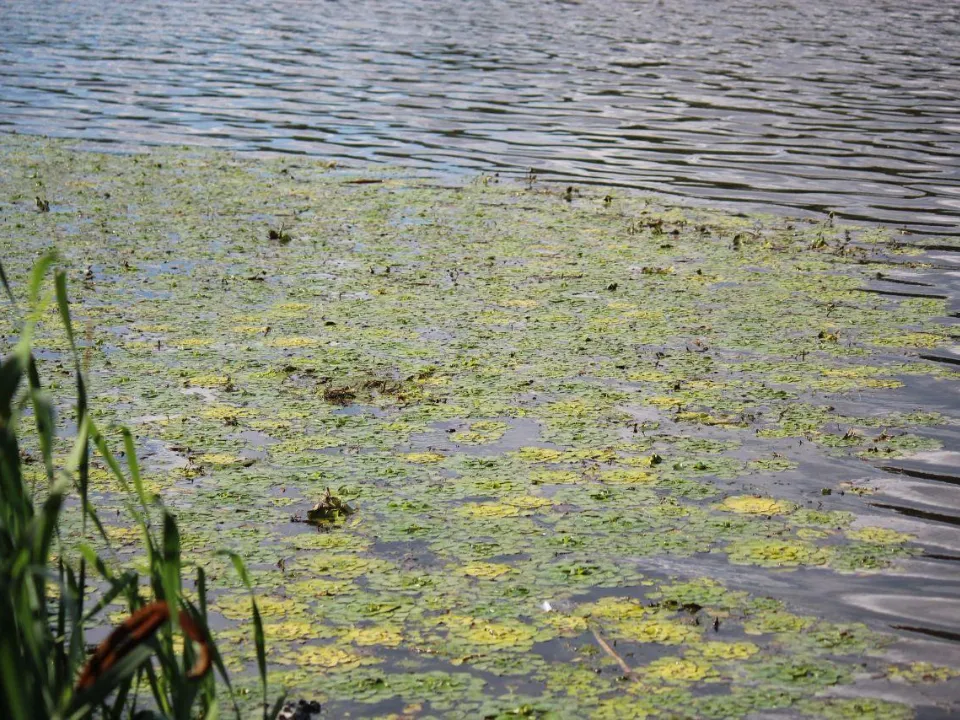 Фото: Мария Аргир