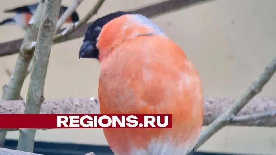 Фото: Александр Дрожжин