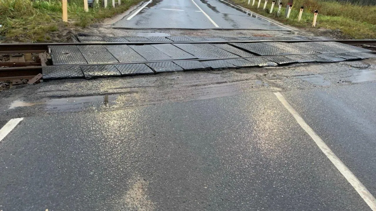 Фото: пресс-служба администрации Талдомского г.о.