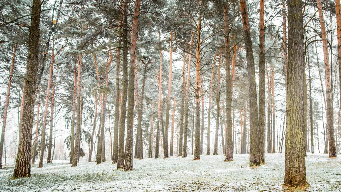 Пресс-служба администрации Одинцовского г.о.