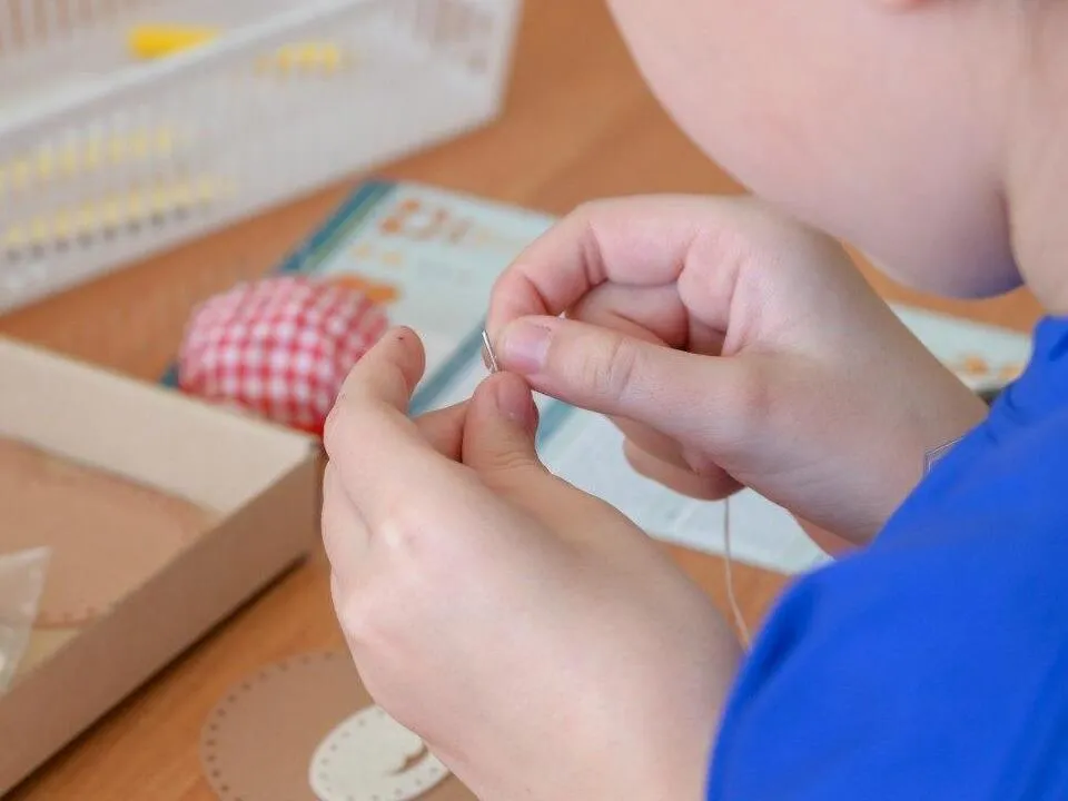 Фото: пресс-служба администрации Сергиево-Посадского г.о.