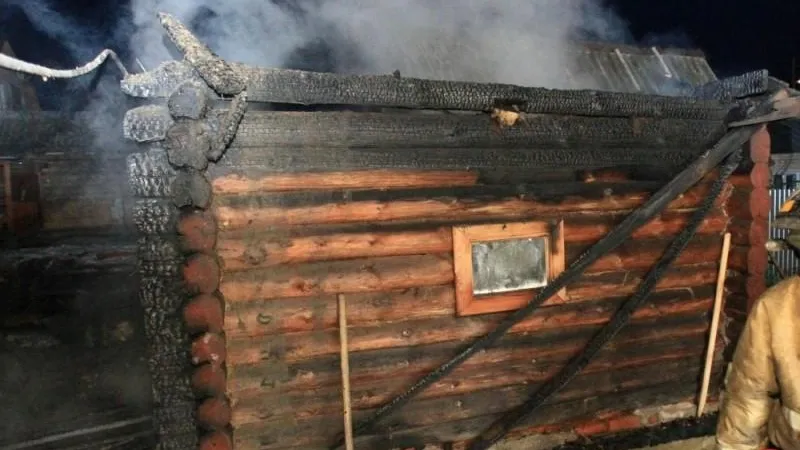 В Орехово-Зуево потушили пожар в хозяйственной постройке