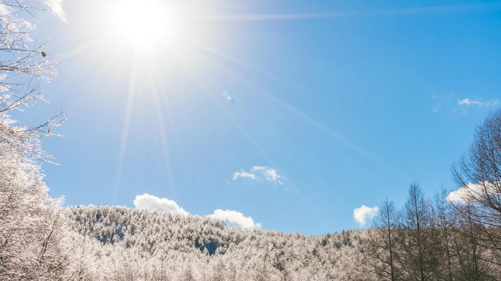 медиасток.рф