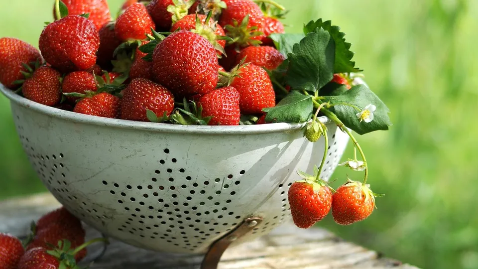 Фото: unsplash.com