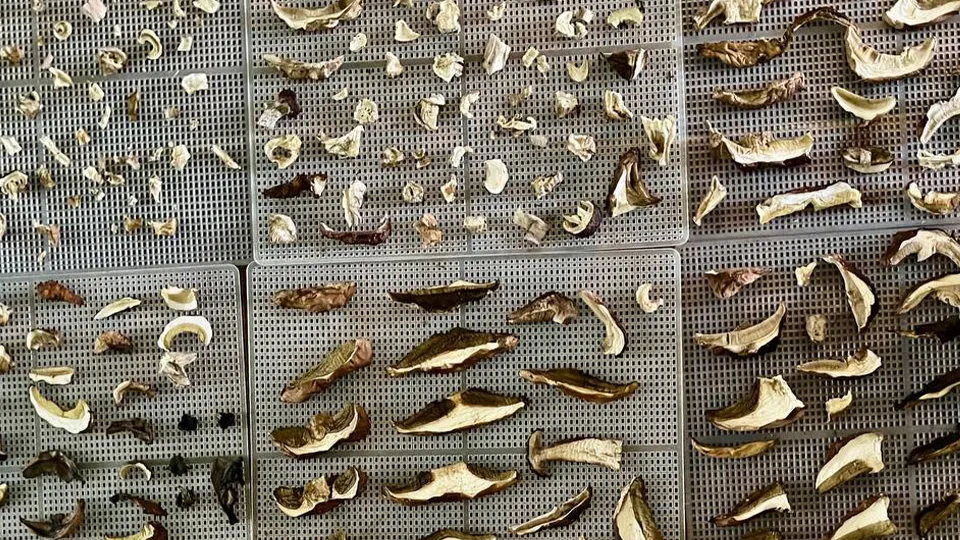 Фото: Яна Жукова