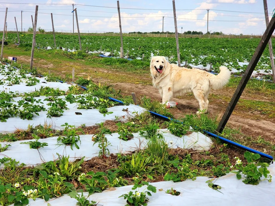 Фото: МедиаБанк Подмосковья/Мария Панина