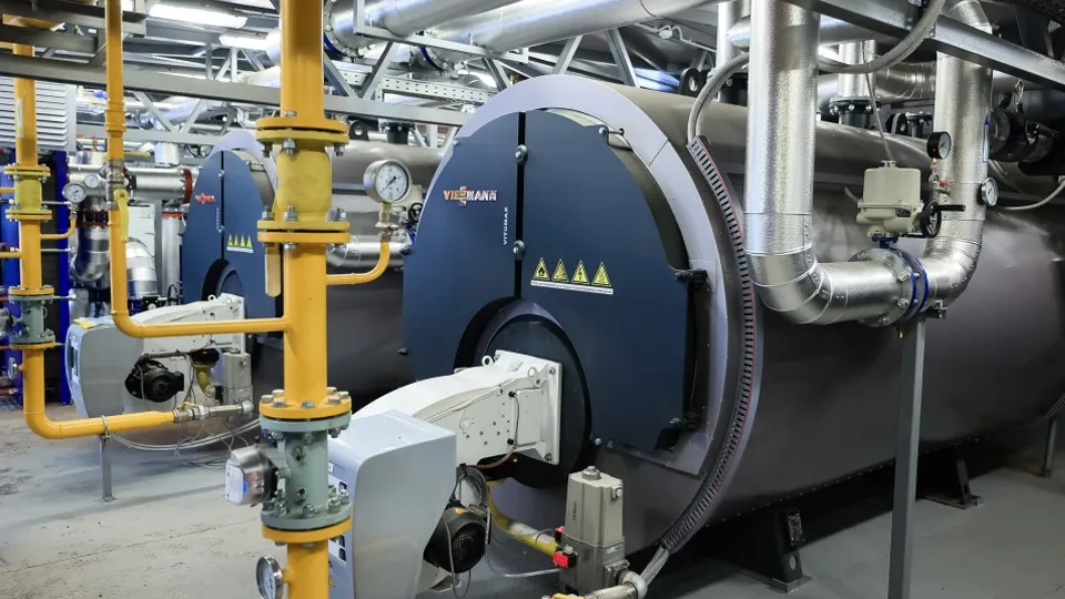 Фото: пресс-служба губернатора и правительства Московской области