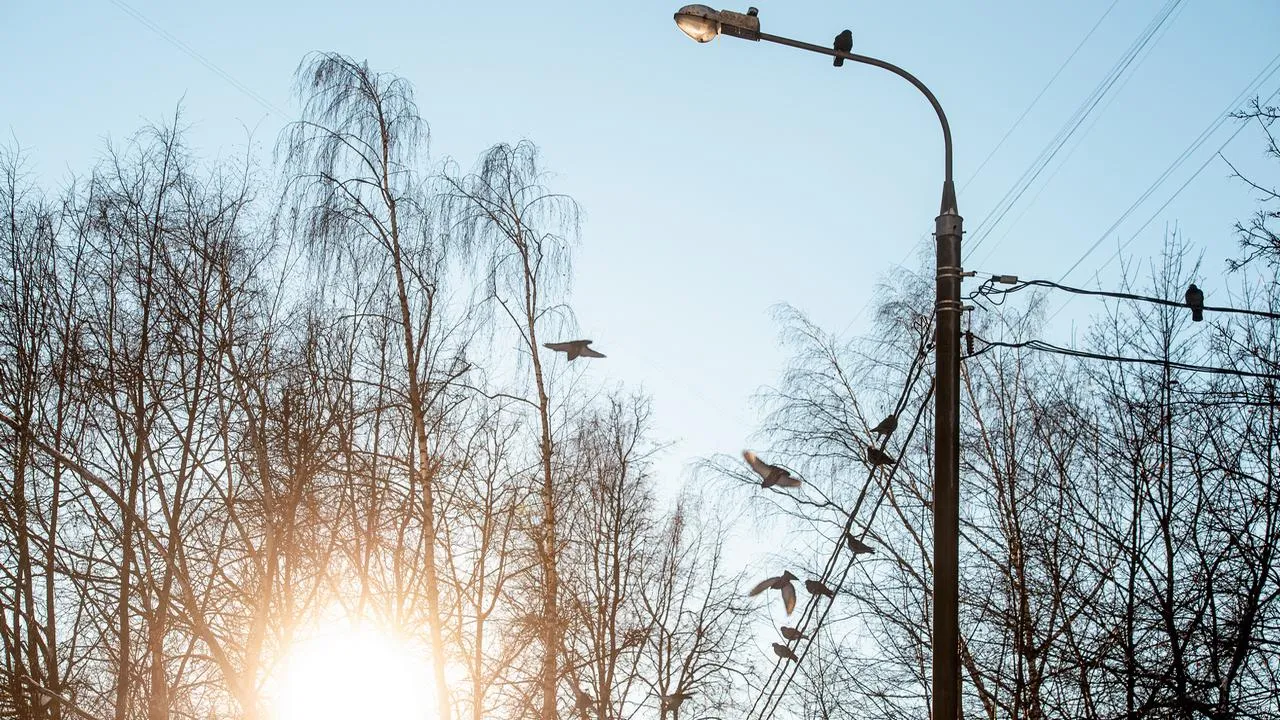 медиасток.рф