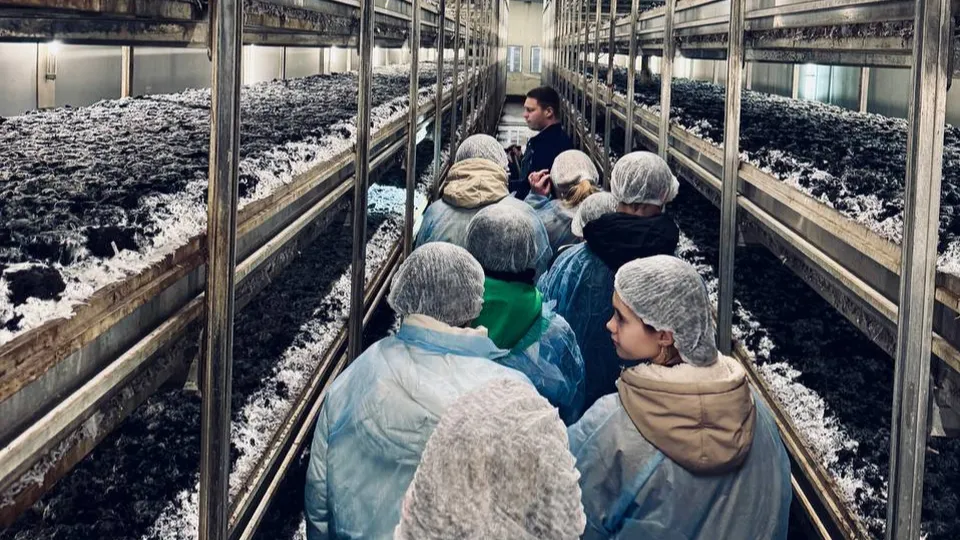 Фото: пресс-служба администрации г. о. Кашира