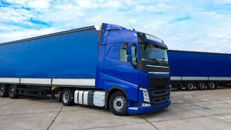 Фото: freepik.com