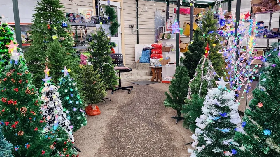 Фото: Ксения Пашуто