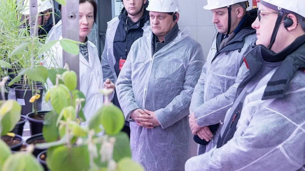 Фото: ВКонтакте администрации г.о. Щелково