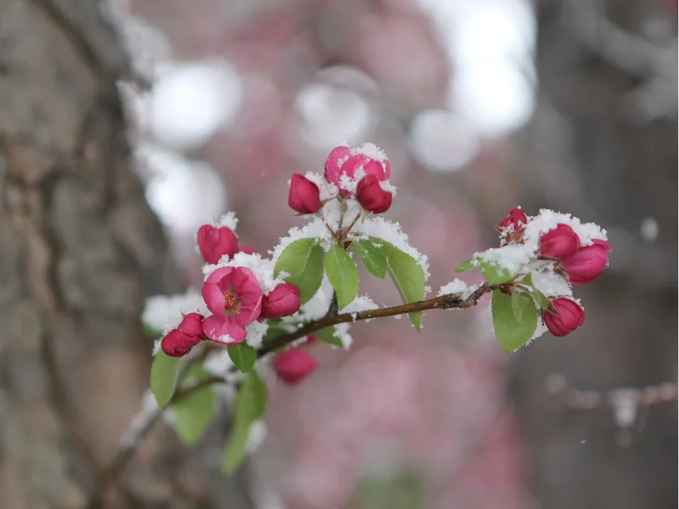 Фото: unsplash.com