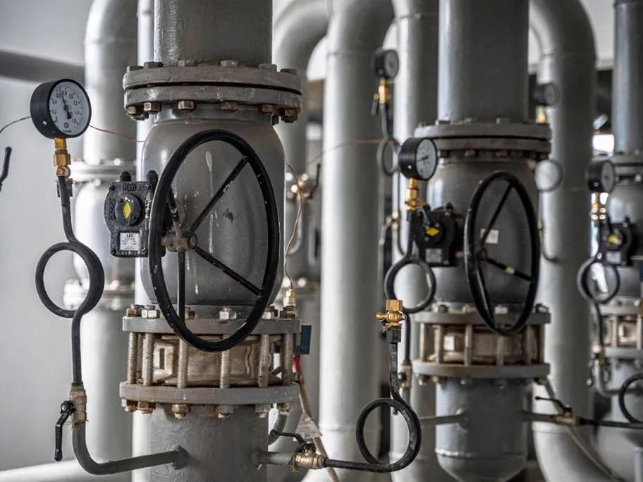 Фото: пресс-служба губернатора и правительства Московской области