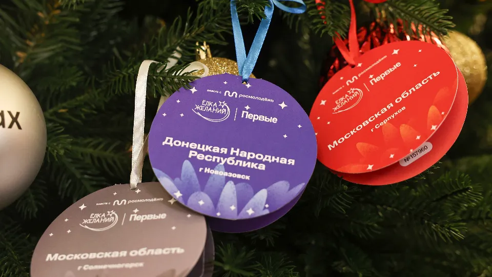 Фото: медиасток.рф