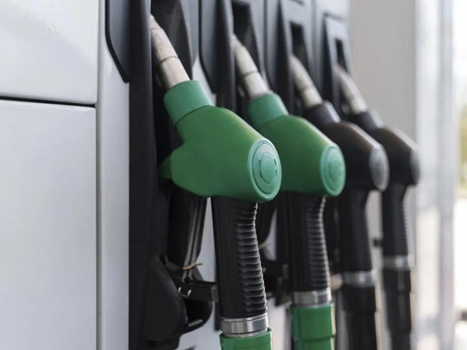 Экономист Скрыль заявила, что скоро в России подорожает бензин