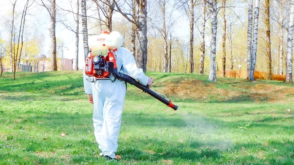 Фото: МедиаБанк Подмосковья/Данила Кирьянов