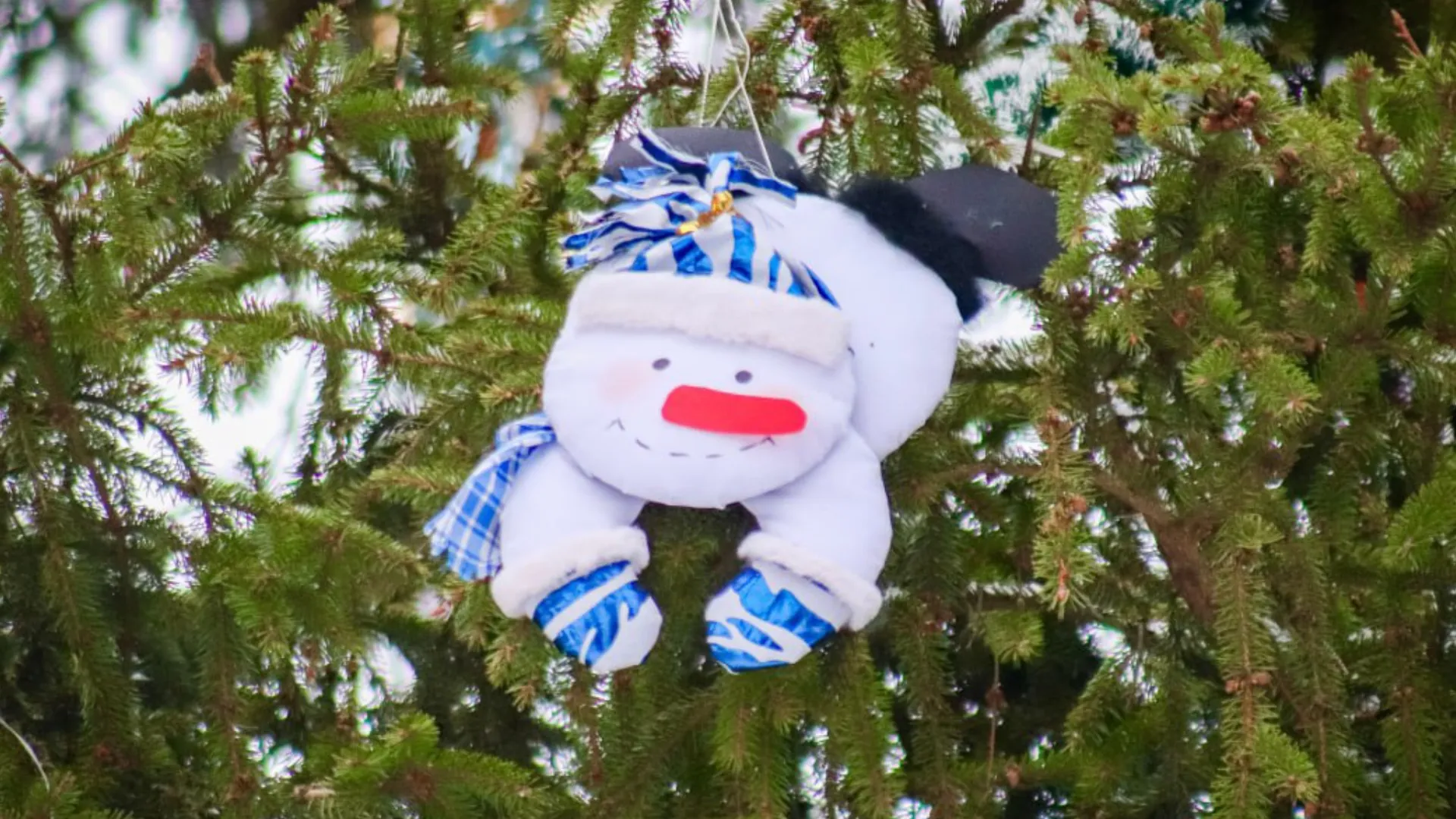 Фото: МедиаБанк Подмосковья/Данила Кирьянов