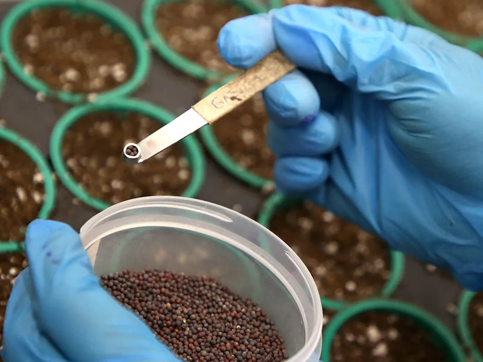 Фото: ТАСС/Антон Новодережкин