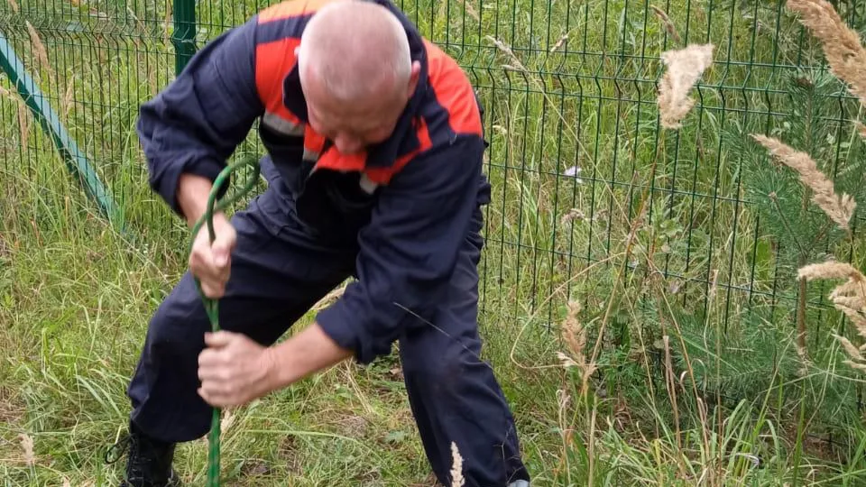 Фото: ГКУ МО «Мособлпожспас»