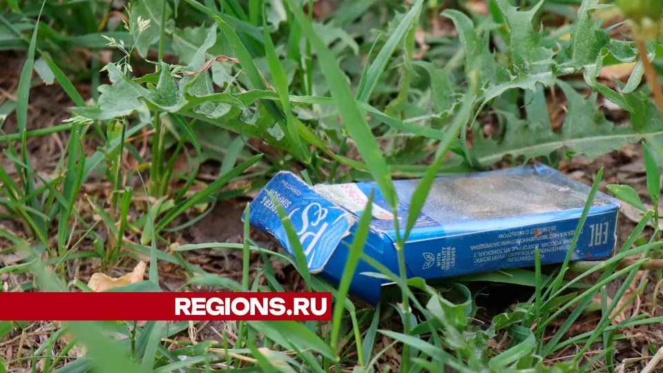 Фото: Regions/Василий Тремасов