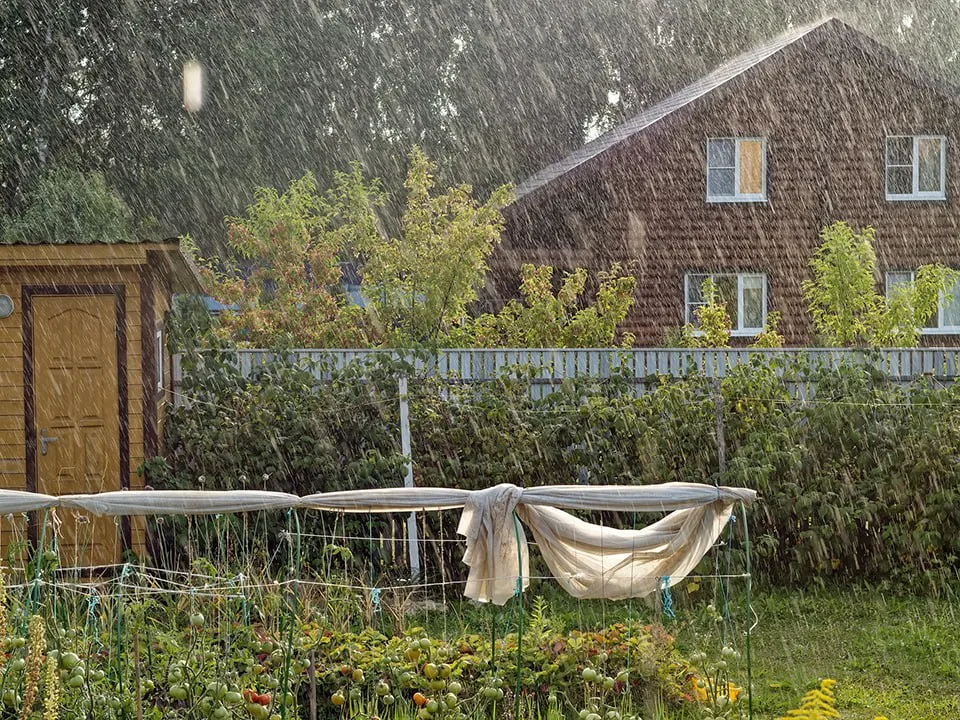 Фото: istockphoto.com