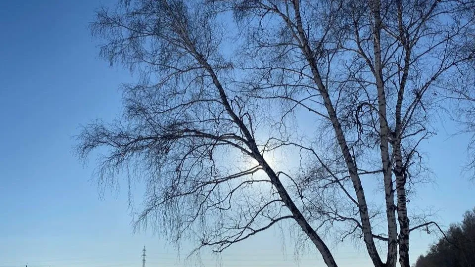 Фото: медиасток.рф