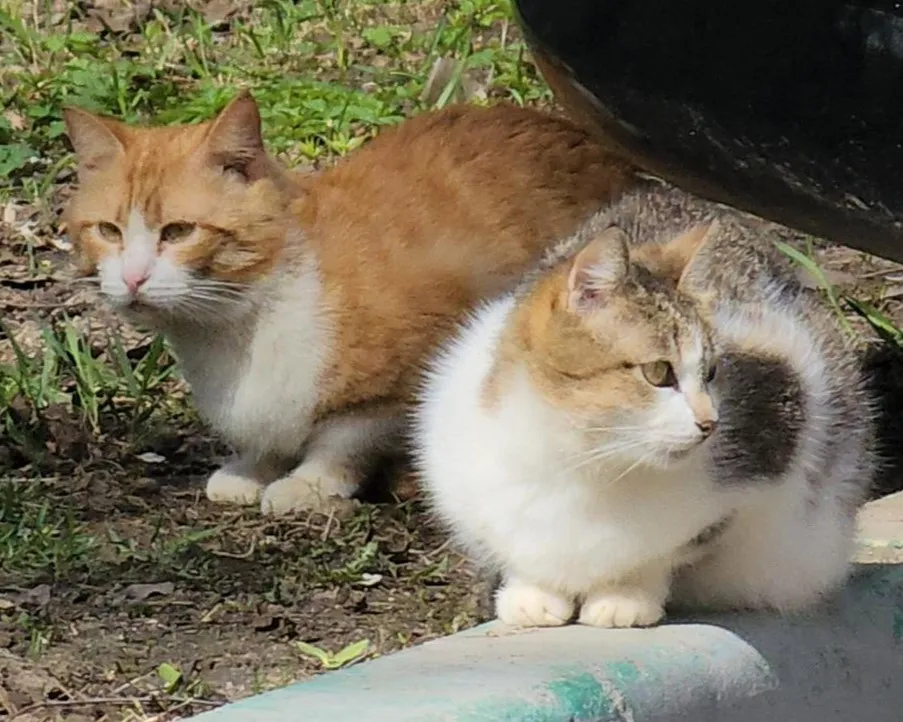 Фото: Екатерина Данилина