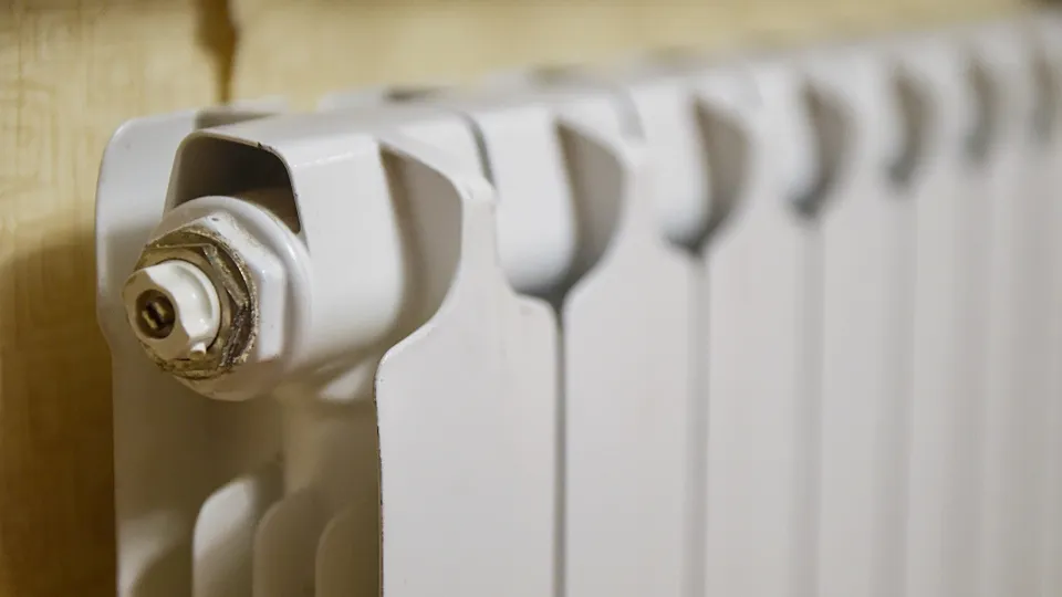 Фото: Медиаархив Подмосковья