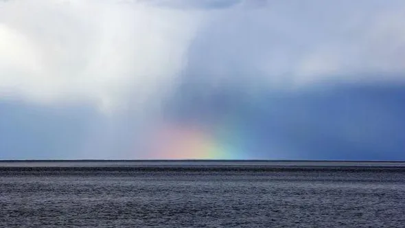 В Солнечногорском районе пройдет заплыв в честь Дня ВМФ