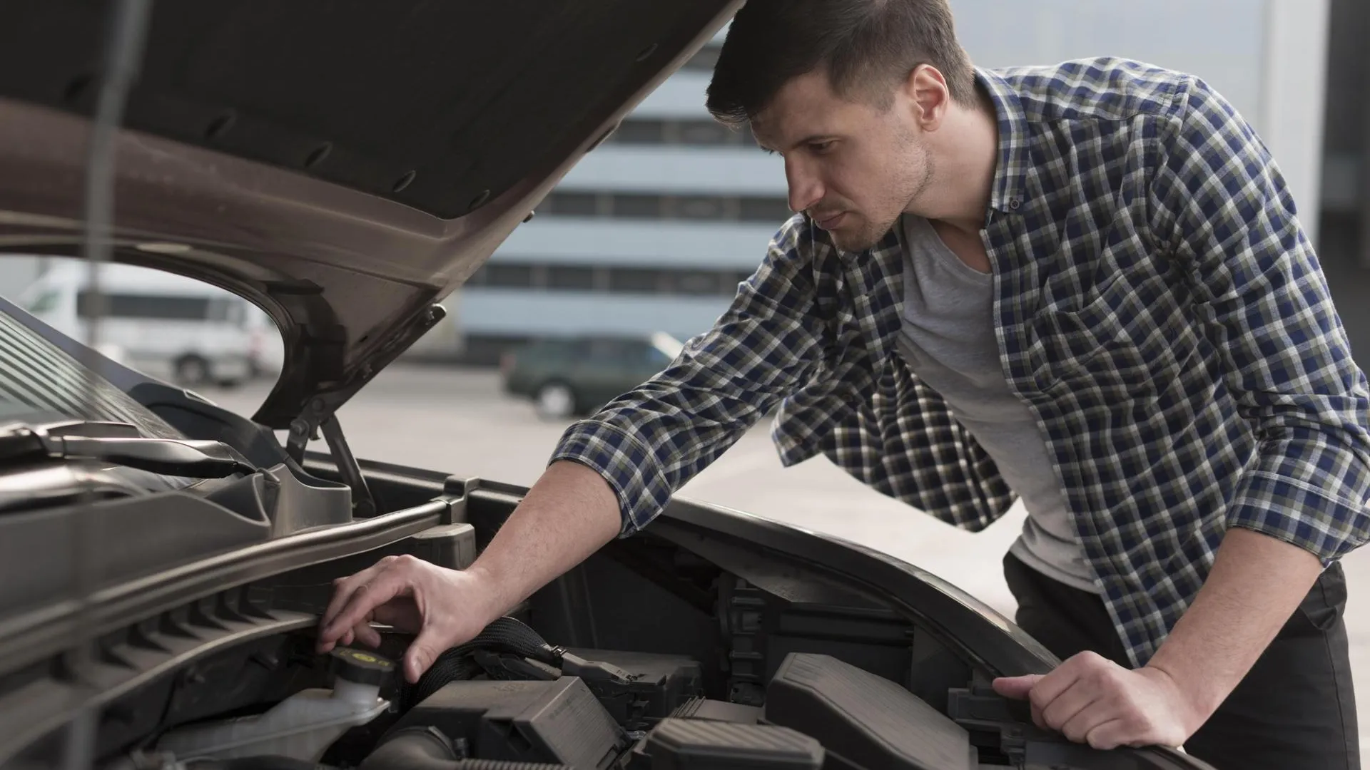 Фото: ru.freepik.com