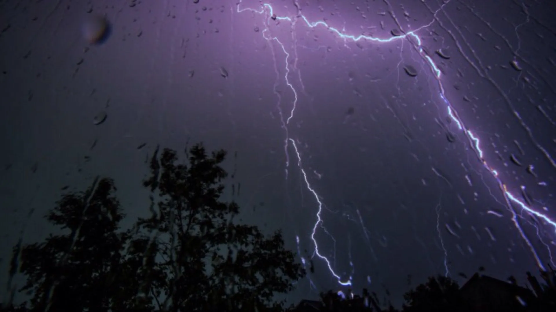 Фото: unsplash.com