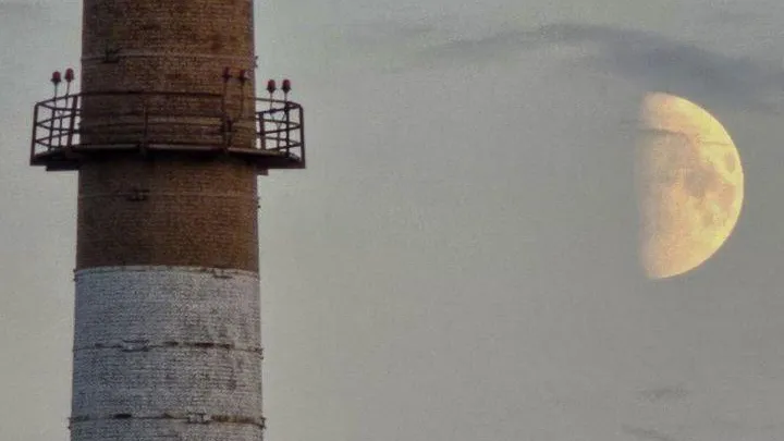 Фото: министерство экологии и природопользования МО