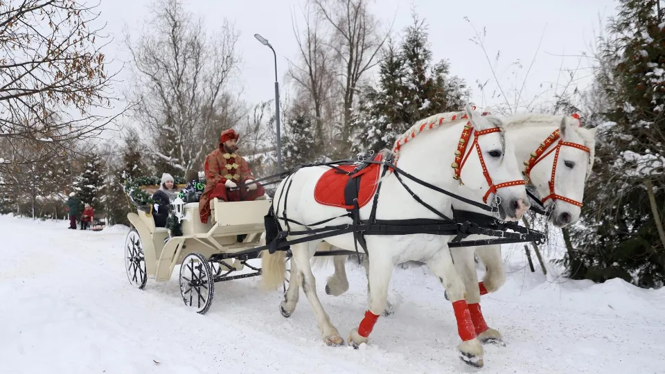 Фото: пресс-служба администрации г.о. Солнечногорск