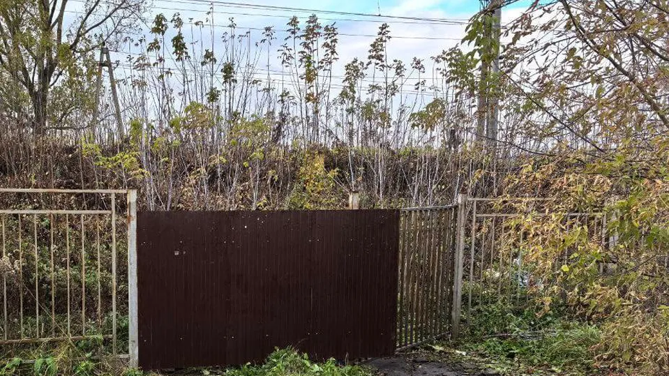 Фото: Министерство транспорта и дорожной инфраструктуры МО