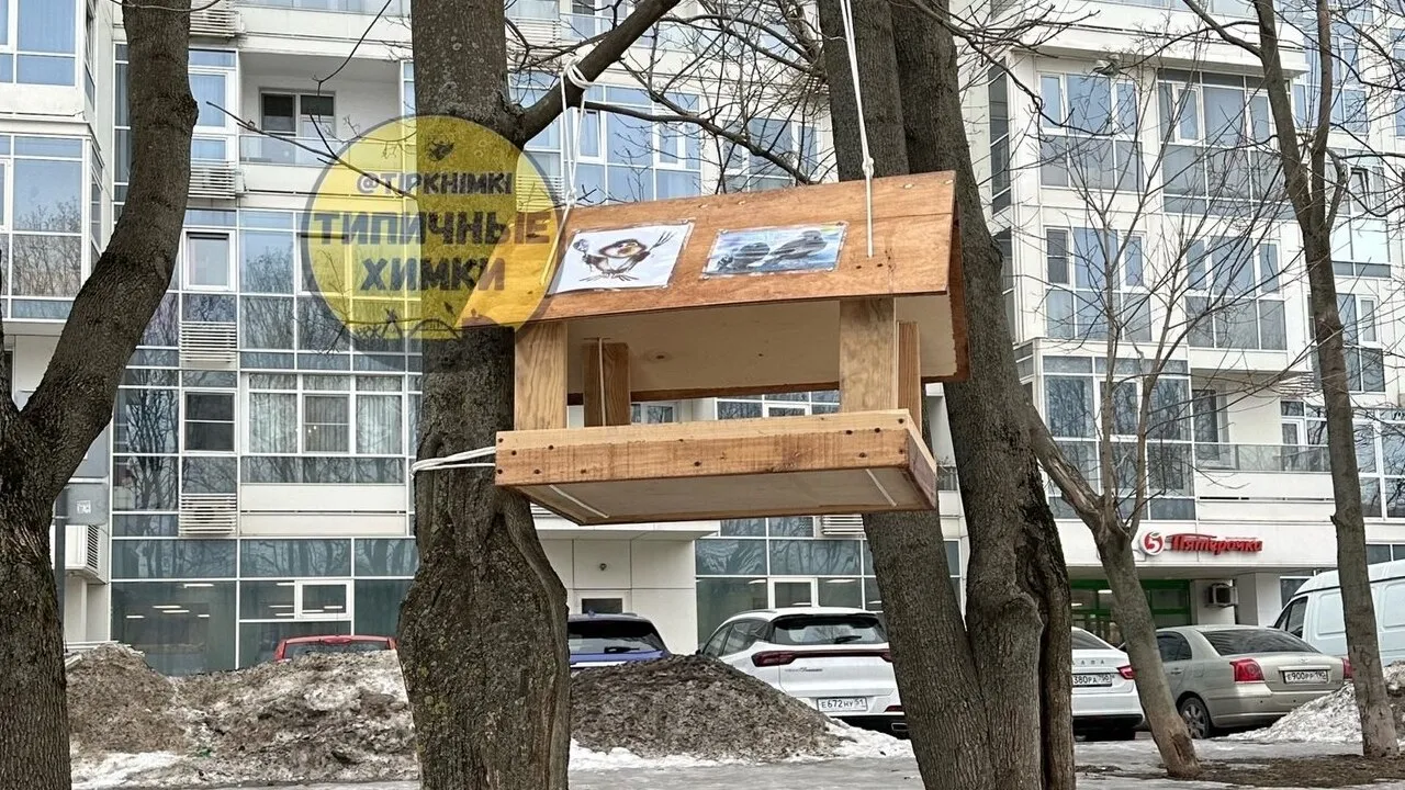 Фото: Telegram-канал «Типичные Химки»