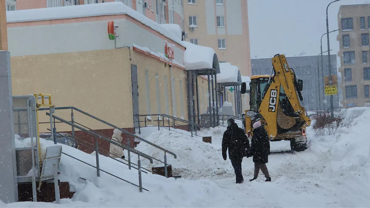 МедиаБанк Подмосковья/Наталья Лымарь
