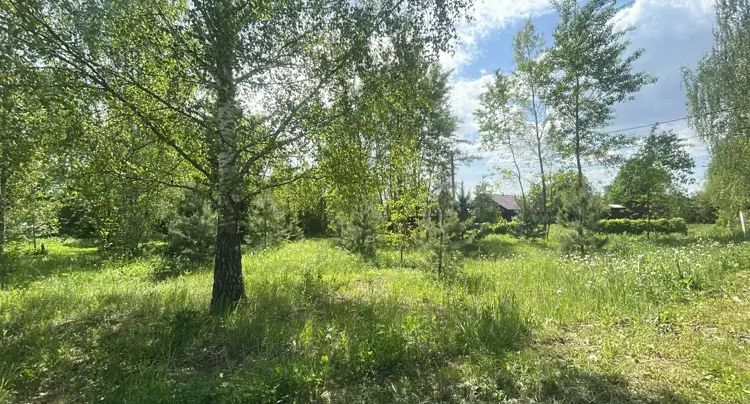 Топ-3 округа по выставленным объектам на торги за неделю назвали в Подмосковье