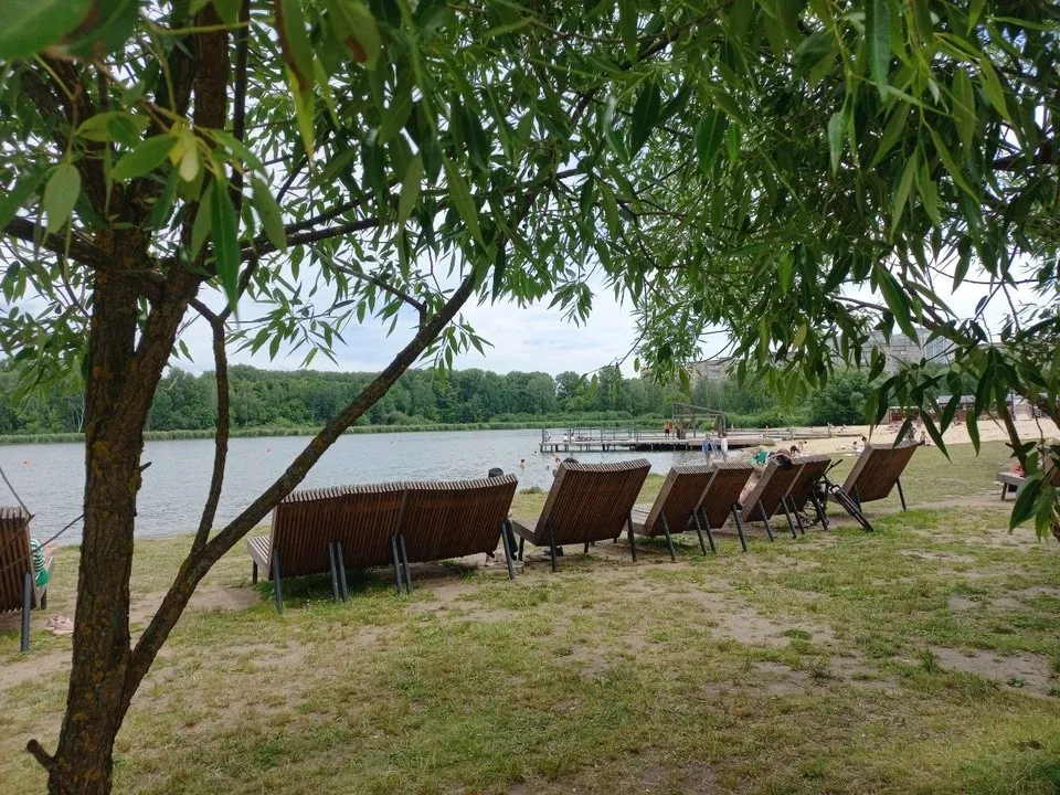 Фото: МедиаБанк Подмосковья/Евгения Герасимова&nbsp;