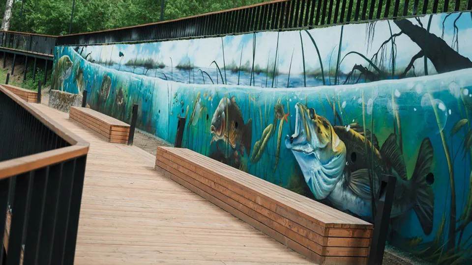 Фото: Администрация Лосино-Петровского г.о.