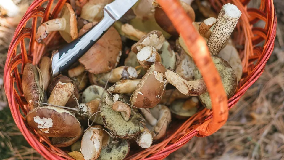 Фото: freepik.com