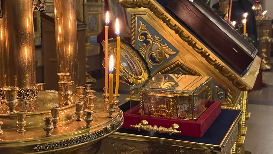 Фото: МедиаБанк Подмосковья/Мария Шматкова