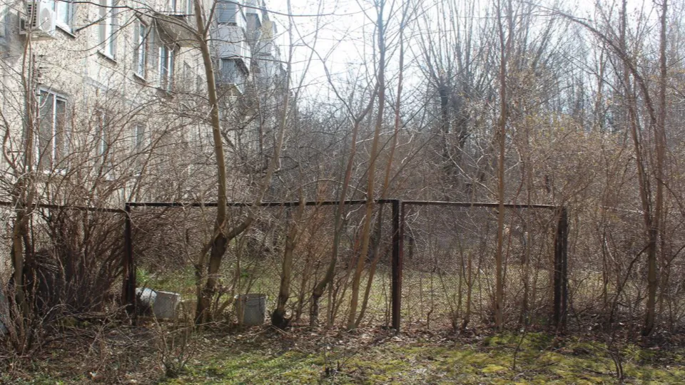 Фото: пресс-служба администрации г.о. Фрязино