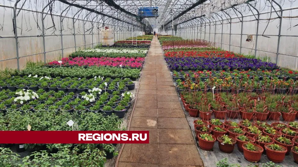 Фото: Елена Лабзина