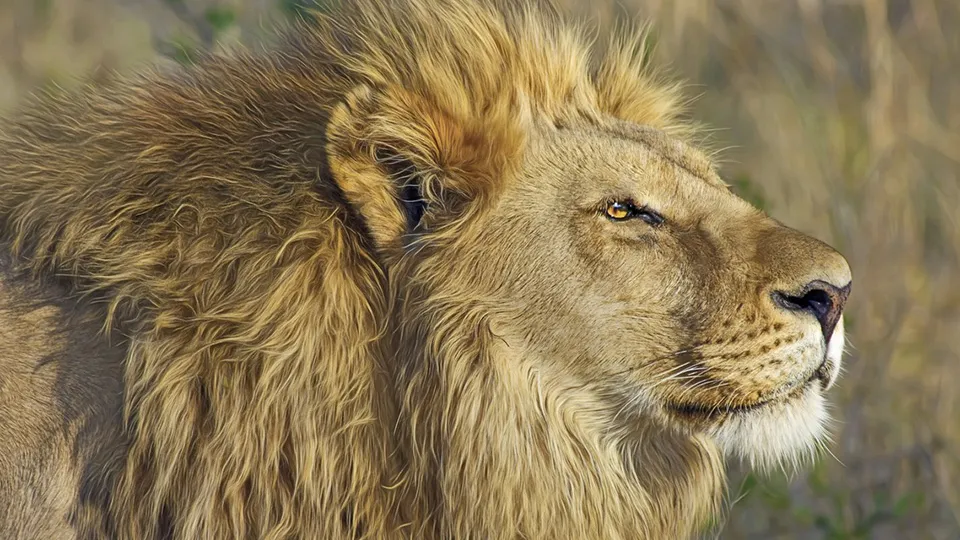 Фото: pxhere.com