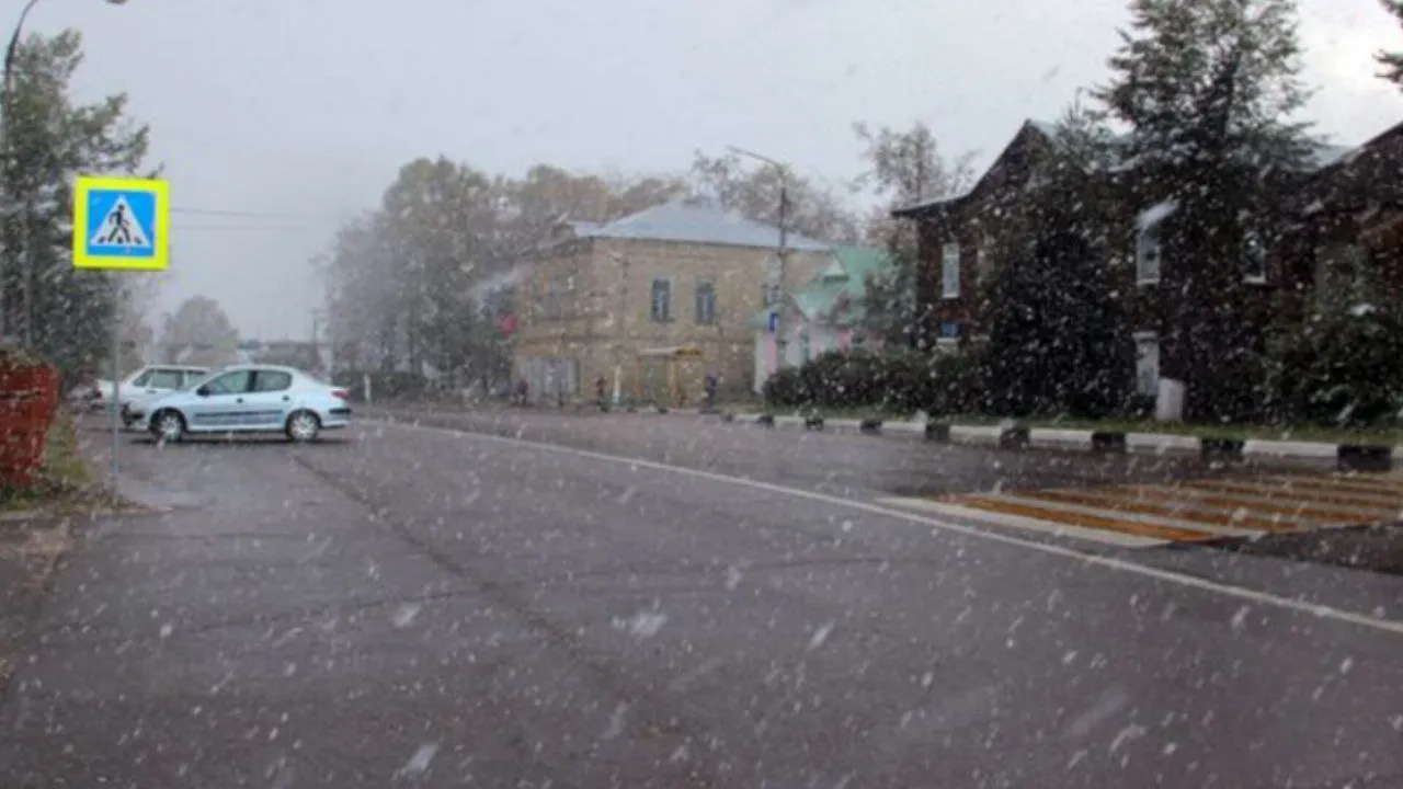 Фото: медиасток.рф