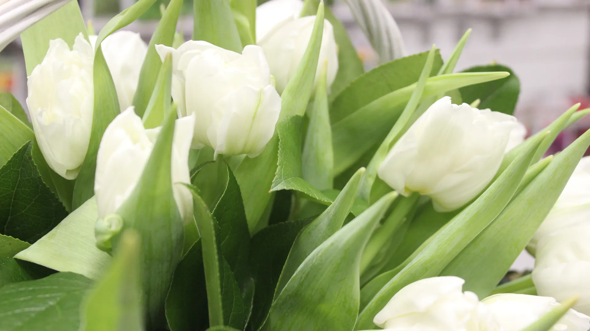 медиасток.рф