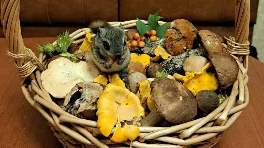 Фото: Мария Шматкова